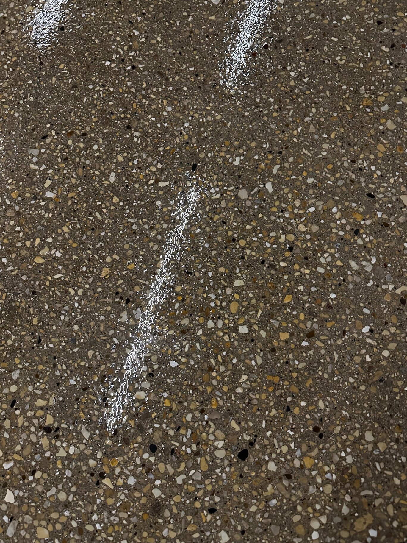 Polished Concrete